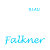 Falknerei Falkner Falknerin Beizjagd Greifvogel
