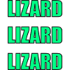 Lézard Echo