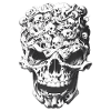 Skull of Skulls