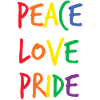 Rainbow Peace Love Pride