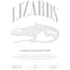 Cuban Knight Anole Reptile Keeper Lizard