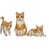 Geometric Cats Trio