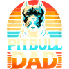 Pitbull Dad Retro Sunset, Dog Father 