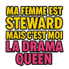 My wife is a steward