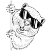 Sunglasses Raccoon Graphic