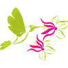 Kolibri_003