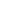 Salem Broom Witch Halloween