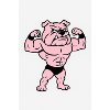 Pink Muskelbulldog Pose