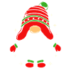Gnome Gaming Gamer