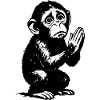 Singe Pèlerin Illustration Noir et Blanc