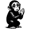 Betender Affe Schwarzweiß Illustration