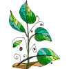 feuilles