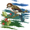 Bunter Vogel