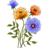 Fleur