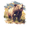 Wombats Wombat
