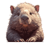 Wombats Wombat