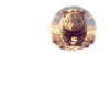 Wombats Wombat