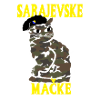 Camouflage Cat Sarajevo Military
