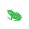 Frog Catcher Hopping Adventure Frog