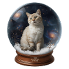 Cosmic Cat in Snow Globe