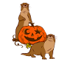 Sea Otter Cartoon Halloween