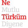 Turkey Design