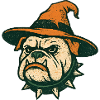 Bulldog Wizard Halloween