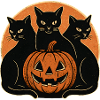 Black Cats and Pumpkin Halloween