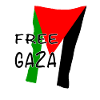 Free Gaza Flag Motif