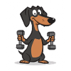 Dachshund Strength Training Cartoon
