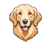 Golden Retriever Head Illustration