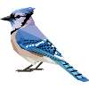 Blue Bird - Cool Bird Logo