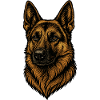 German Shepherd Dog Portrait