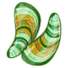 Grünlippmuscheln Illustration