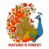 Peacock Floral Nature Botanical