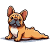 Dog Bulldog Yoga Down Dog