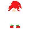 Gnome Santa Claus