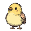 Chick