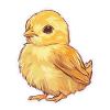 Chick