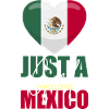 Mexico Heart Flag Love