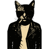 Noir Cat in Leather