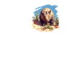 Wombats Wombat