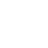 Wombats Wombat