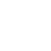Wombats Wombat