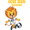 Design your own lion football