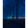 Lonely Bench in Foggy Park