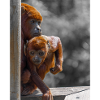 Howler Monkeys