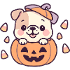 Cute Dog in Halloween Pumpkin