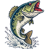 Bass Splash Fishing Illustration 