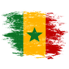 Senegal Flagge used Optik
